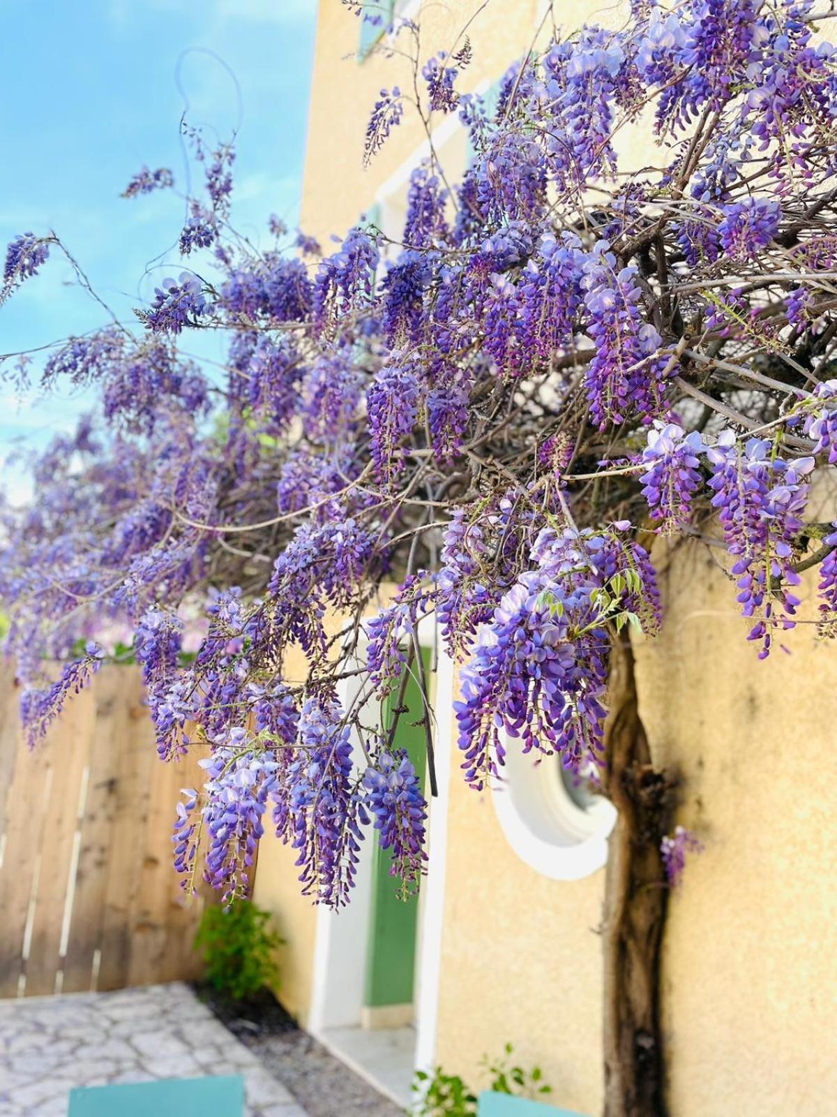 דירות Malaucène Mas Des Amarens מראה חיצוני תמונה
